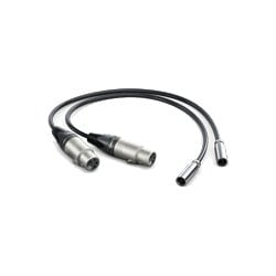 Mini XLR to XLRメス変換用アダプタ HYPERD/AXLRMINI2 Video Assist Mini XLR Cables