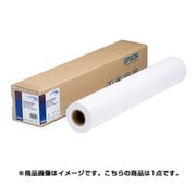 プロフェッショナルフォトペーパー 薄手半光沢 594mm幅×30.5m 厚み0.18mm PXMCA113M1
