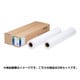 普通紙ロール 厚手 515mm×50m 2本 EPPP90B2M1