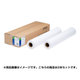 普通紙ロール 厚手 1030mm×50m 2本 EPPP90B0M1