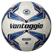 F4V3000 [ヴァンタッジオ3000 4号球 シャンパンシルバー×ブルー]