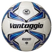 F5V3000 [ヴァンタッジオ3000 5号球 シャンパンシルバー×ブルー]