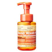 薬用ハンドウォッシュ ホイップタイプ ハーバルグリーン [医薬部外品 250ml]