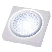NIT-BP1D-2P [LEDミニプッシュライト2P 乾電池式]