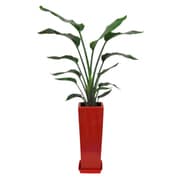 オーガスタ 7寸角陶器L 赤 [観葉植物]