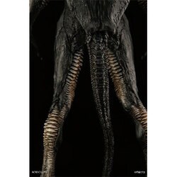 ACRO ゼットン 箱無し ACRO ゼットン 箱無し