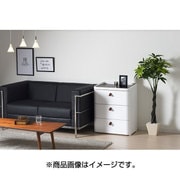 ロイヤルドロアー 543 アースホワイト RD-543 WH/DBR