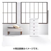 RD-545 WH/DBR [ロイヤルドロアー 545 アースホワイト]