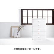 RD-725 WH/DBR [ロイヤルドロアー 725 アースホワイト]