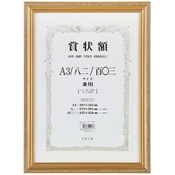 軽量賞状額 A3 金ケシ LSKK-K-A3