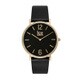 アイスタンナー ブラックゴールド 36mm CT.BGD.36.L.16