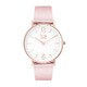 アイスタンナー ピンクローズゴールド 36mm CT.PRG.36.L.16