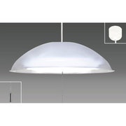 LED洋風ペンダント ～10畳 昼光色タイプ EV10062