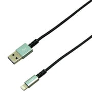 プレミアムシリーズ Lightning ハードケーブル 1m 2.4A スペースグレー BUSLAN100GY