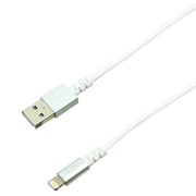 プレミアムシリーズ Lightning ハードケーブル 1m 2.4A シルバー BUSLAN100SV