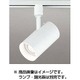 LEDスポットライト ランプ別売 OS256487
