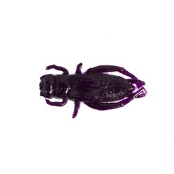 ガルプ　クリケット 楽天市場】クリケット ガルプの通販