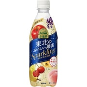 小岩井 東北のおいしい果実Sparkling PET 500ml×24本 [炭酸飲料]
