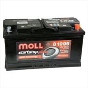 AGM 自動車用バッテリー 電解液注入済 81095