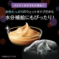 ヨドバシ.com - マースジャパン シーバ 猫用 シーバとろ～りメルティ