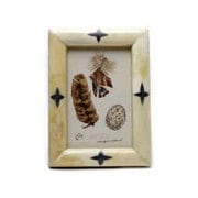 PHOTO FRAME-JALORE MOBOA10510