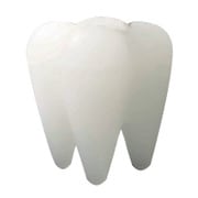 PICK A TOOTH-WHITE PRTOA00301