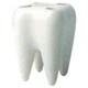 TOOTHBRUSH HOLDER-WHITE PRTOA00201