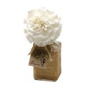 GRFRA07001 [SANCTUM JUTE/DIF-BEGONIA/JAPANESE FLOWER]