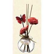 GRFRA04804 [PAPILLON DIFFUSER-RED/HONEY]