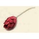 GRLIA03702 [FIGMENT SOLA FLOWER-PROTEA/PINK]
