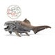 14575 ダンクルオステウス [DINOSAURS]