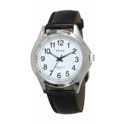 メンズ腕時計 TE-AM034-WTS