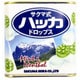 佐久間製菓 サクマ式ハッカドロップス 70g [菓子 1缶]