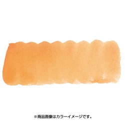 プチカラー 単色 補充用 ジョンブリアン NCW#067