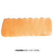 プチカラー 単色 補充用 ジョンブリアン NCW#067