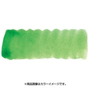 プチカラー 単色 補充用 サップグリーン NCW#107