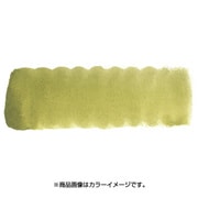 プチカラー 単色 補充用 オリーブグリーン NCW#117