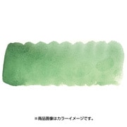 プチカラー 単色 補充用 テルベルト NCW#106