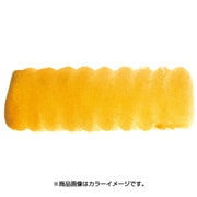 プチカラー 単色 補充用 イエローオーカー NCW#071