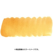 プチカラー 単色 補充用 ローシェンナ NCW#191