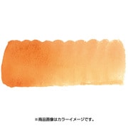 プチカラー 単色 補充用 バーントシェンナ NCW#193