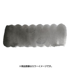プチカラー 単色 補充用 アイボリーブラック NCW#004
