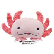 HOLA！！ BOXティッシュカバー