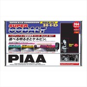 HH91S [Sコバルトセット H4D ショートタイプ 6600K]