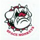 R827 [ステッカー SPACE MONKEYS]