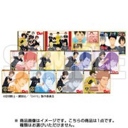 DAYS トレーディングミニ色紙 [コレクショントイ]