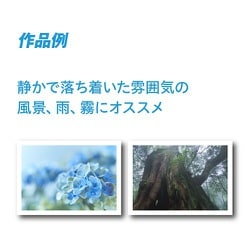 ヨドバシ.com - ピクトリコ PICTORICO ピクトリコプロ・スムーズ