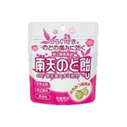 南天のど飴 はちみつ梅風味 22錠 パウチタイプ [第3類医薬品 のど飴（咳止め） ※セルフメディケーション税制対象商品]