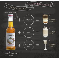 ヨドバシ.com - MONIN モナン モナン キャラメルシロップ 250ml 通販