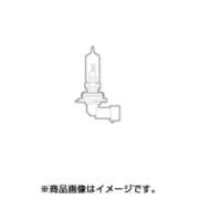 CB451N [CATZ ヘッドライト・フォグ用 ライジングイエロー]
